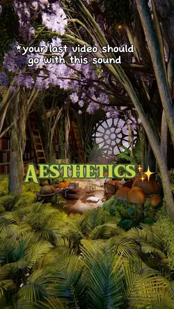 Aesthetic ✨