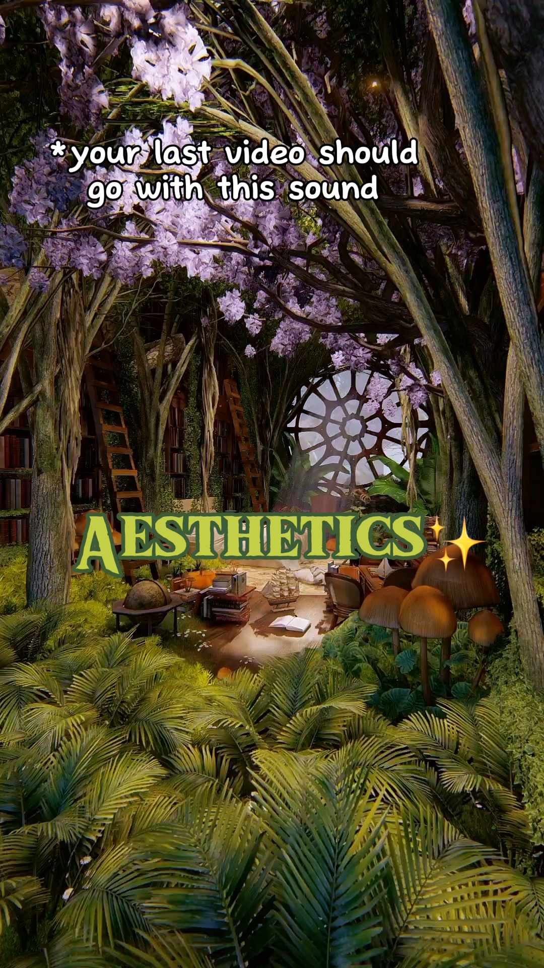 Esthétique ✨