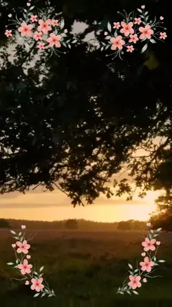 Bom dia 