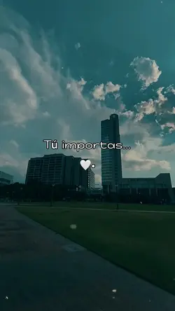 Tú importas 
