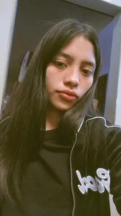 Agregar 1 clip