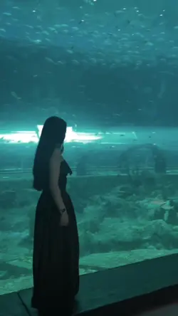 Thêm 1 đoạn video