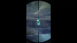 Add 16 clips