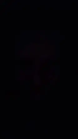 Add 5 clips