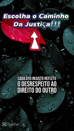 Adicione 1 clipe
