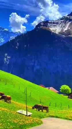 Add 1 clip
