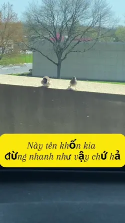Add 1 clip