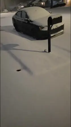 Agregar 1 clip