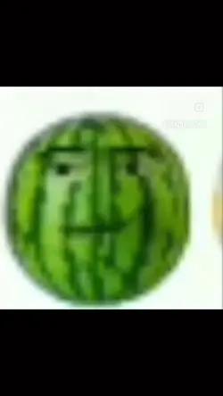 Add 1 clip