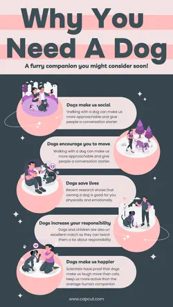 Why You Need A Dog Infographic