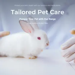 Pet industry Social Cards