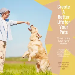 Pet industry Business