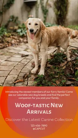 Pet industry New arrivals