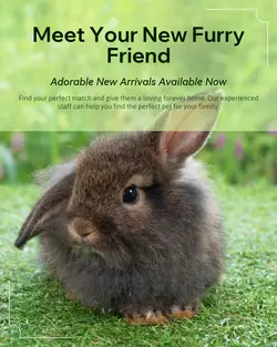 Pet industry New arrivals