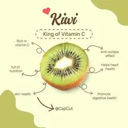 Food Kiwi Display E-commerce