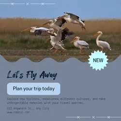 Travel industry General