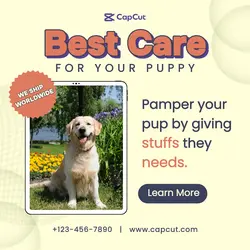 Dog Care Instagram Post