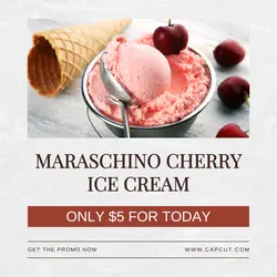 Food Promotion Ice Cream Instagram Post