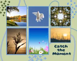 Non-Marketing Photo College - Catch The Moment