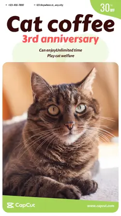 Pet Cat coffee Price reduction Cute