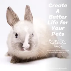 Pet industry Social Cards