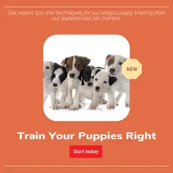 Pet industry Instructions