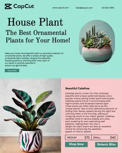 Household Accessories House Plant Display Product Instagram Potrait