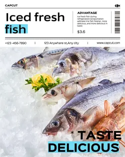 Foods & Beverage Iced fresh fish Show Photography