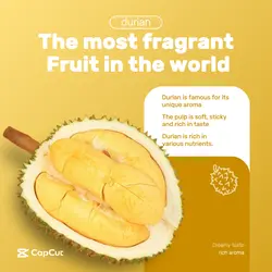 Food durian display e-commerce