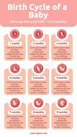 Birth Cycle of a Baby Infographic