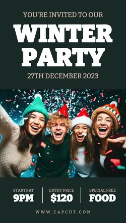 Winter Party Instagram Story