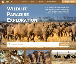 Travel Safari