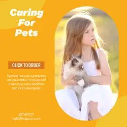 Pet industry Product Display