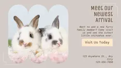 Pet industry New arrivals