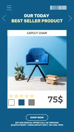 Household Best Furniture Instagram Story Template