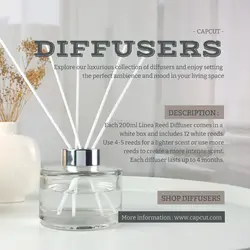 Beauty Diffusers Product Display Instagram Post