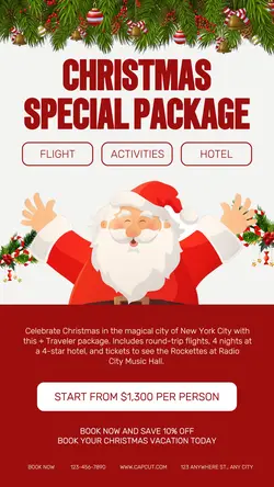 Christmas Special Package Instagram Story