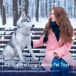 Pet industry Effect Display