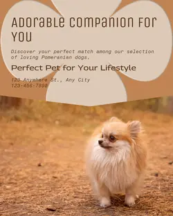 Pet industry General