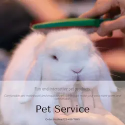 Pet industry Product Display