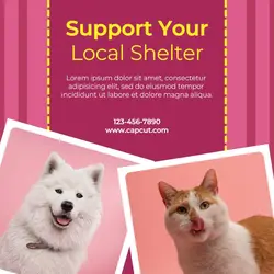 Pet Services, Product Display, image, text, pink