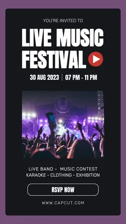 Music Festival Instagram Story