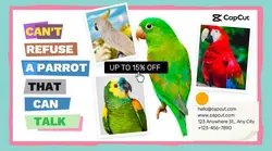 Pet Parrot Display Collage Style
