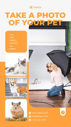 Pet supplies Personal morning show simple style