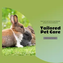Pet industry Social Cards