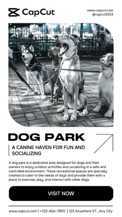 Dog Park Product Display Instagram Story