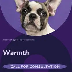 Pet industry Sales Promotion