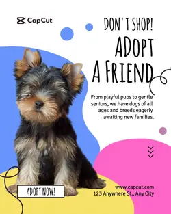 Pet Adoption Instagram Post