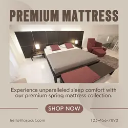 Premium Spring Mattresses Product Instagram Post