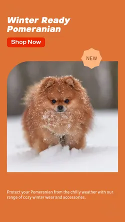 Pet industry General